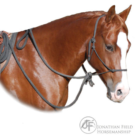 Hard Rope Hackamore Rope Hackamore – Jonathan Field Horsemanship